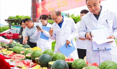 黑料不打烊吃瓜官网中国人的“吃瓜自由”底气越来越足