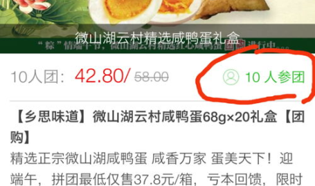 杭州网红吃瓜公众号,热门事件背后的幕后故事