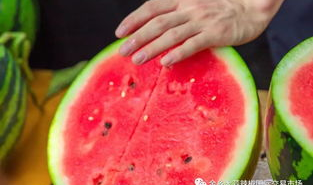 各大校园吃瓜网,揭秘各大校园网热传的幕后故事